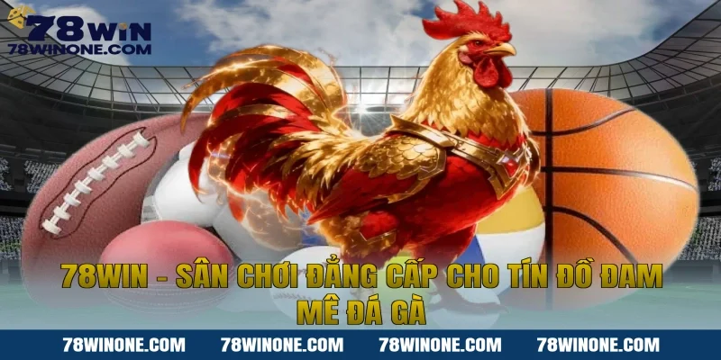 78win – Sân chơi đẳng cấp cho tín đồ đam mê đá gà