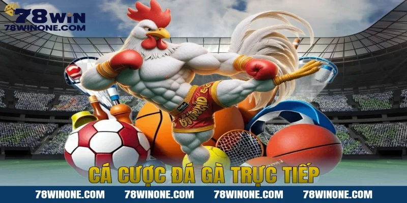 cá cược đá gà trực tiếp