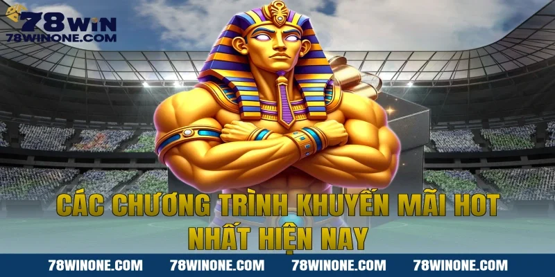 Các Chương Trình Khuyến Mãi Hot Nhất Hiện Nay