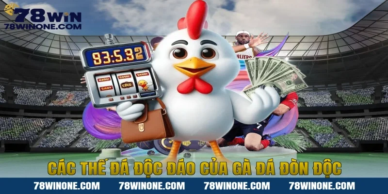 Các Thế Đá Độc Đáo Của Gà Đá Đòn Độc