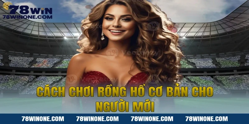 Cách chơi Rồng hổ cơ bản cho người mới