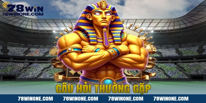 câu hỏi thường gặp