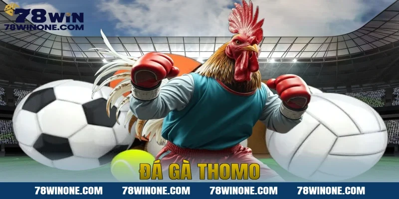 Đá gà thomo