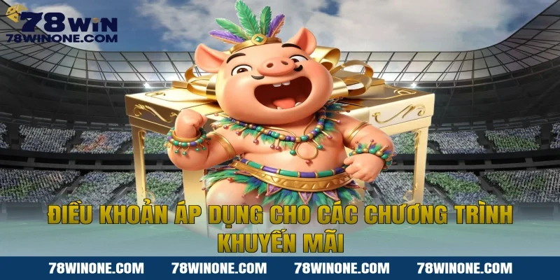 Điều khoản áp dụng cho các chương trình khuyến mãi