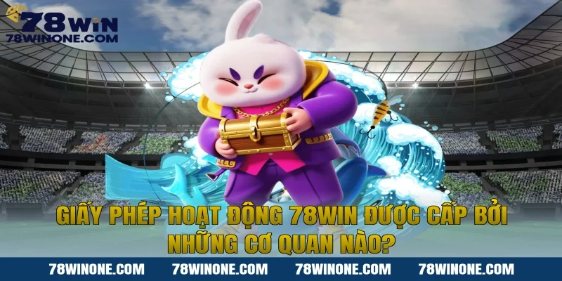 Giấy Phép Hoạt Động 78WIN Được Cấp Bởi Những Cơ Quan Nào?