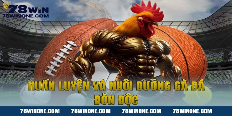 Huấn Luyện Và Nuôi Dưỡng Gà Đá Đòn Độc