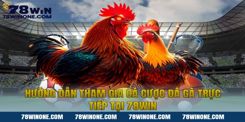 Hướng dẫn tham gia cá cược đá gà trực tiếp tại 78win