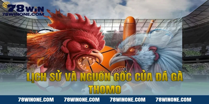 Lịch sử và nguồn gốc của đá gà thomo
