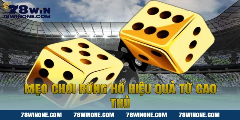 Mẹo chơi Rồng hổ hiệu quả từ cao thủ