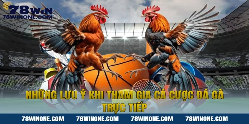 Những lưu ý khi tham gia cá cược đá gà trực tiếp