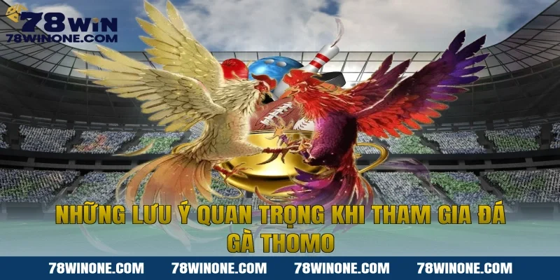 Những lưu ý quan trọng khi tham gia đá gà thomo