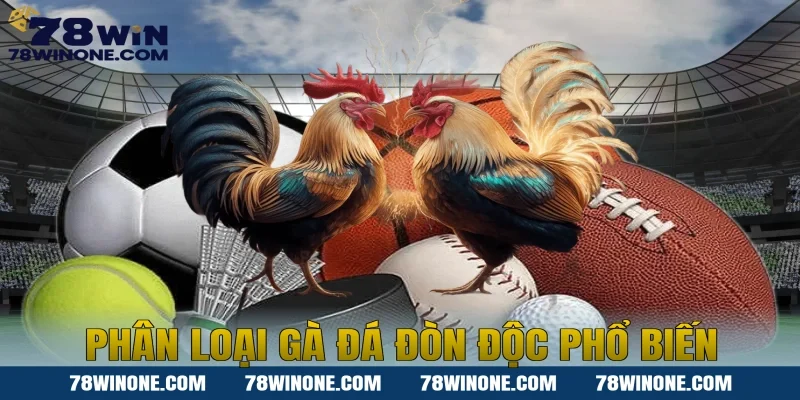 Phân Loại Gà Đá Đòn Độc Phổ Biến