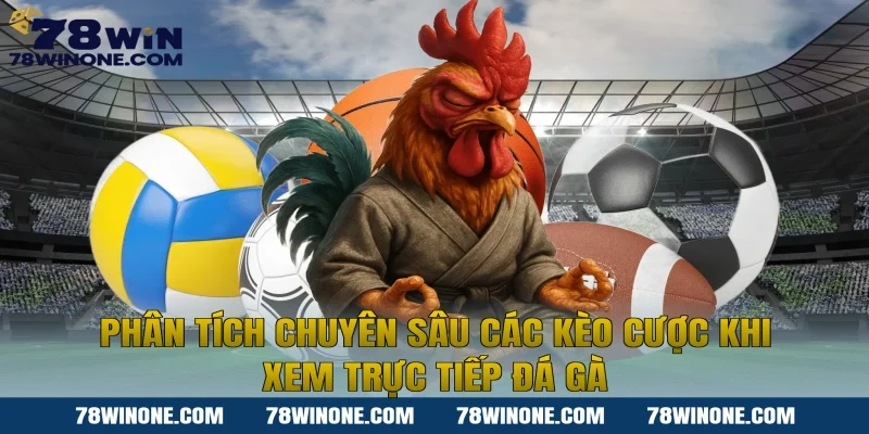 Phân tích chuyên sâu các kèo cược khi xem trực tiếp đá gà