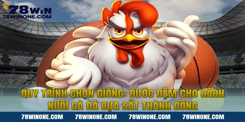 Quy trình chọn giống: Bước đệm cho cách nuôi gà đá cựa sắt thành công