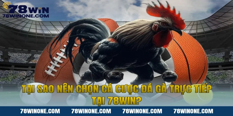Tại sao nên chọn cá cược đá gà trực tiếp tại 78win?