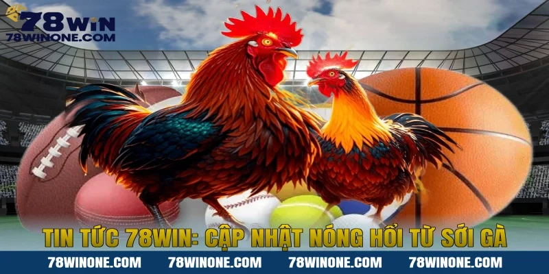 Tin tức 78win: Cập nhật nóng hổi từ sới gà
