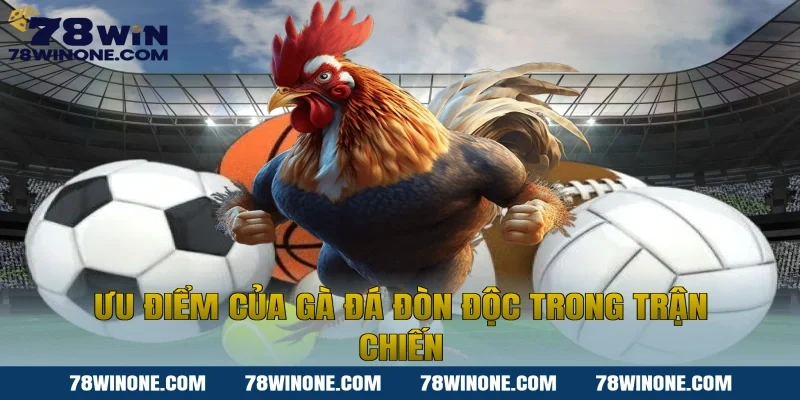 Ưu Điểm Của Gà Đá Đòn Độc Trong Trận Chiến